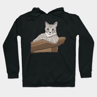 Most Interesting Cat In The World, Cat Says Hey Hoodie